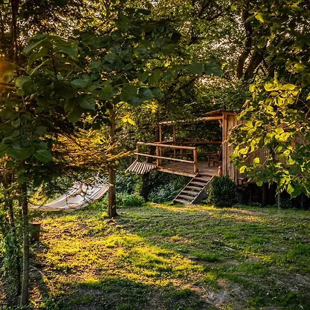 Baracek Na Strome - Ubytovani V Korunach Stromu, Treehouse Campsite *