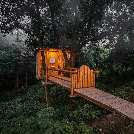 Baracek Na Strome - Ubytovani V Korunach Stromu, Treehouse Campsite *