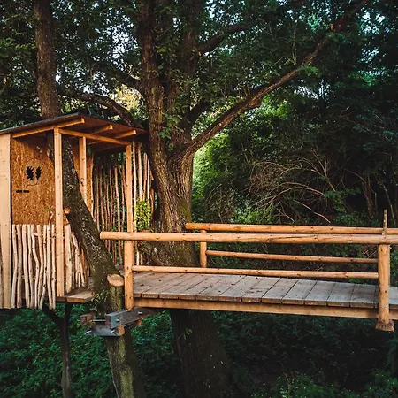 Baracek Na Strome - Ubytovani V Korunach Stromu, Treehouse Campsite *
